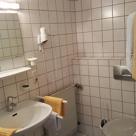 Hotel Hotel-restaurant Neyses Am Park 2*